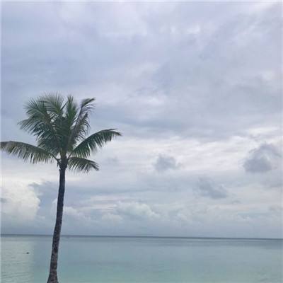 像素魔法大逃杀最新版本下载